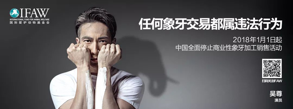 1558057118173083257.jpg 64034.jpg