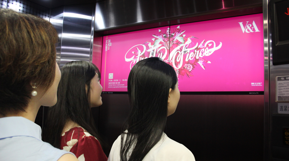 1558591874274056803.jpg 4.jpg